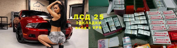 гидра Алексин