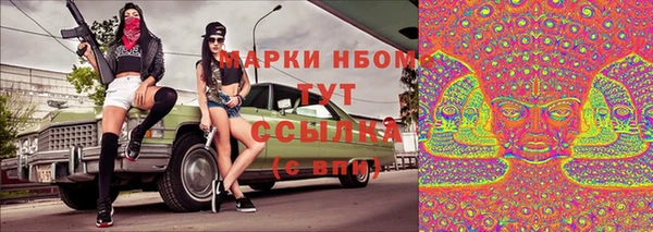 гидра Алексин