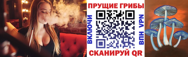 Галлюциногенные грибы ЛСД  Купить где  Курганинск 